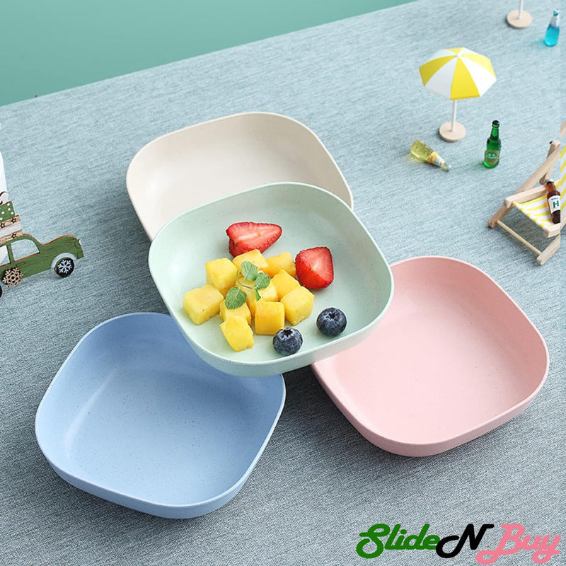 10pcs Plates Set With Holder (Random Colours)