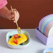 10pcs Plates Set With Holder (Random Colours)